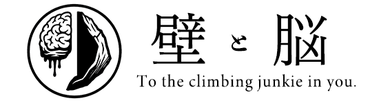 壁と脳